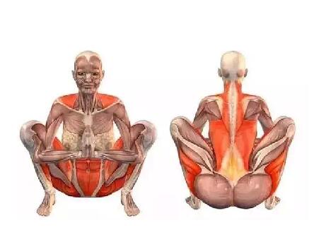 瑜伽動作小課堂！