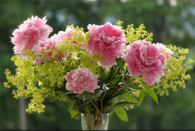 廣西插花培訓(xùn)分享：適合清明節(jié)祭祀用的花