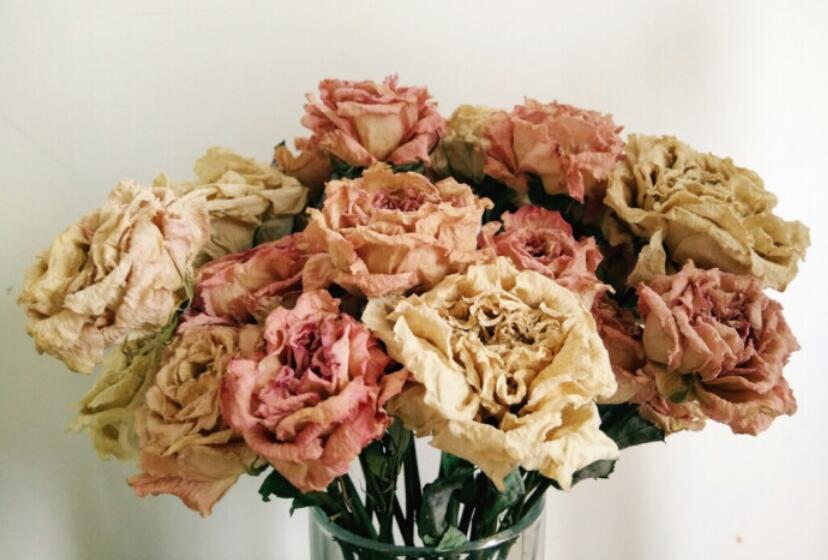 插干花有什么技巧？快來(lái)和南寧花藝培訓(xùn)班學(xué)習(xí)下