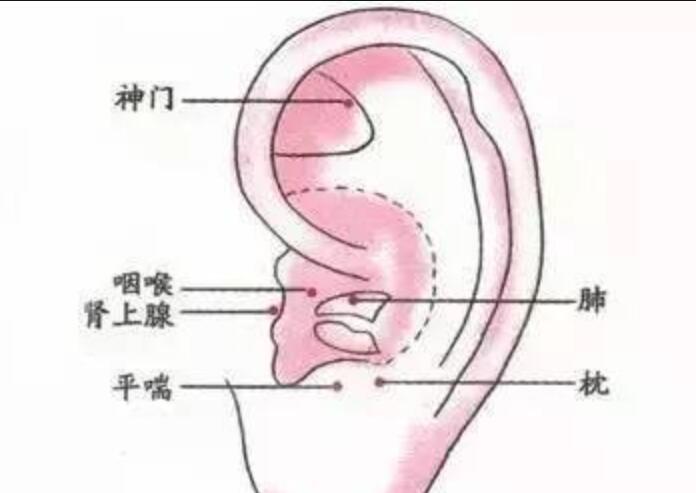 如何正確艾灸耳朵？南寧美容學(xué)校幫你整理教程