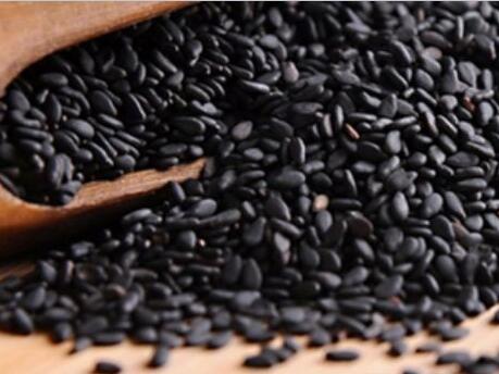 在家也能做的美發(fā)沙龍！