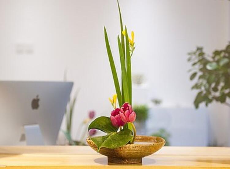 什么是盆式插花？南寧插花培訓(xùn)課程解析