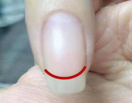 廣西美甲資訊：什么是扇形甲？