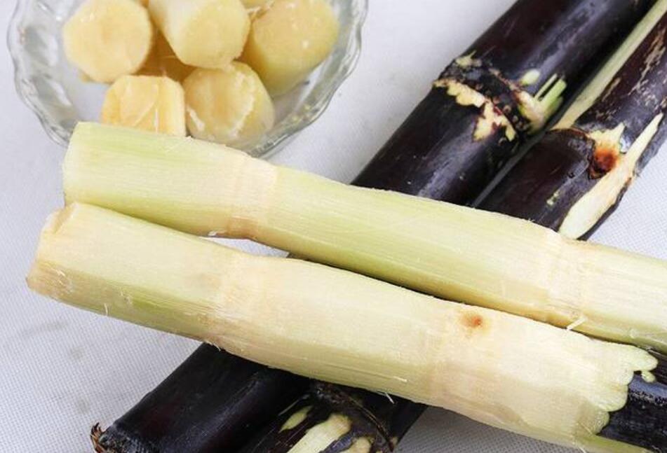 秋冬適合吃什么？南寧教美容養(yǎng)生的學(xué)校分享給你