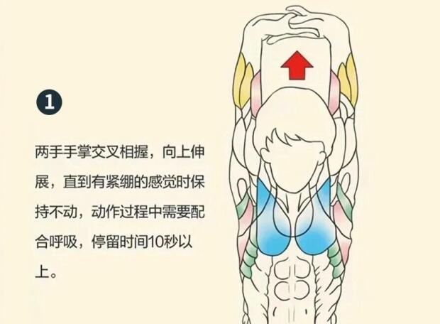 南寧美容師培訓(xùn)要學(xué)什么？背部護(hù)理就是其中一項(xiàng)