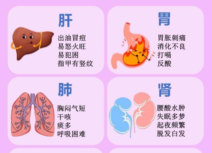 6大臟器保養(yǎng)指南，6款養(yǎng)生茶喝起來 ???