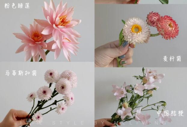 認識常見花朵的名稱，廣西插花學(xué)?；ㄋ嚺嘤?xùn)基礎(chǔ)