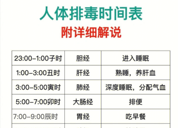 人體排毒時間表，南寧美容專業(yè)學(xué)校詳細(xì)解說