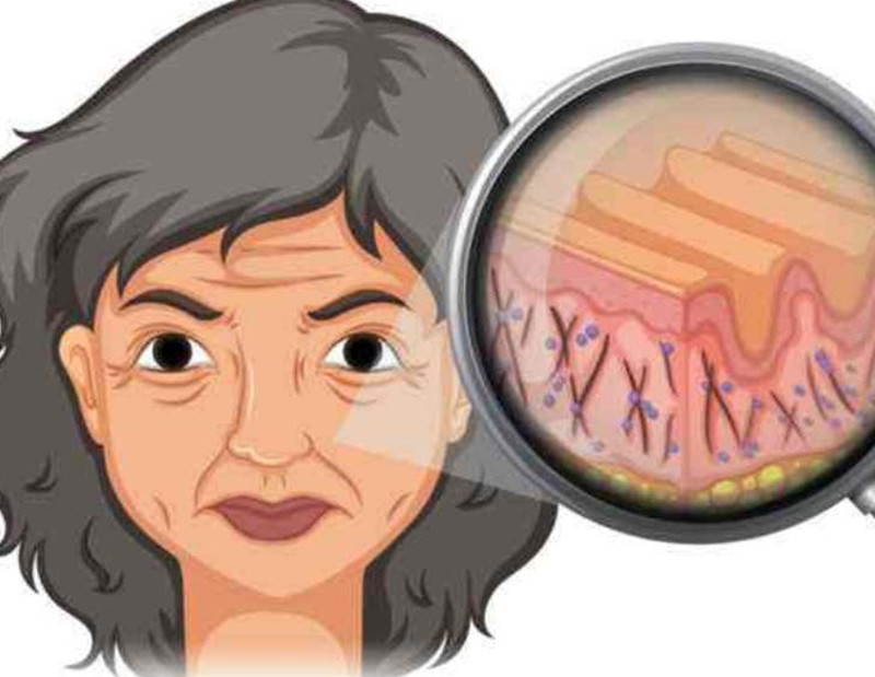 女性如何延緩衰老？南寧皮膚管理培訓(xùn)班講解