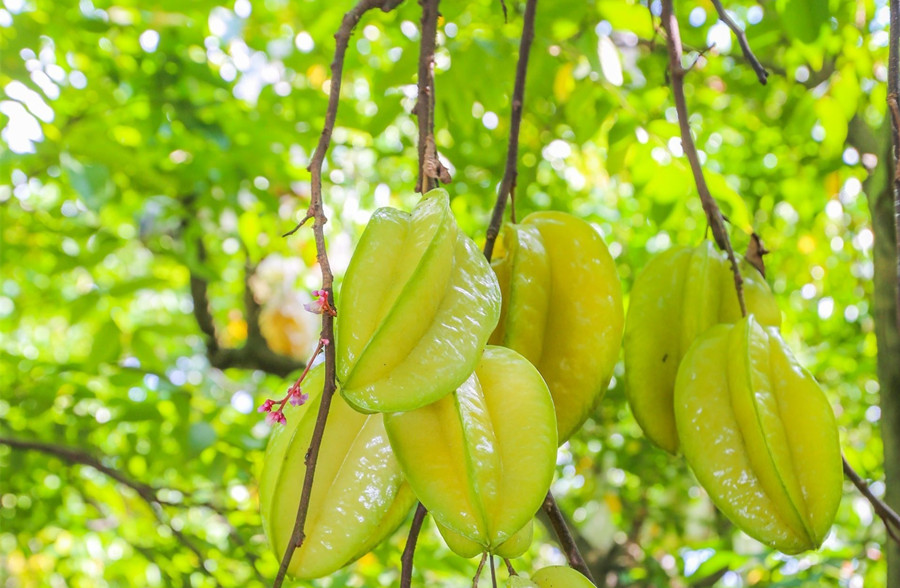 廣西美容護(hù)膚養(yǎng)顏班：春天吃什么水果好？