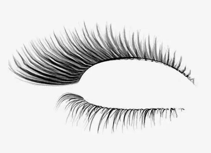 美睫培訓：如何進行睫毛卷翹度選擇?