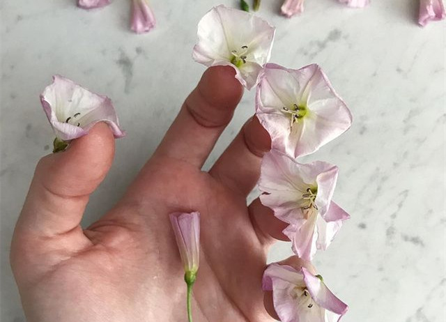 植物藝術(shù)美甲，南寧美甲造型設(shè)計(jì)培訓(xùn)分享