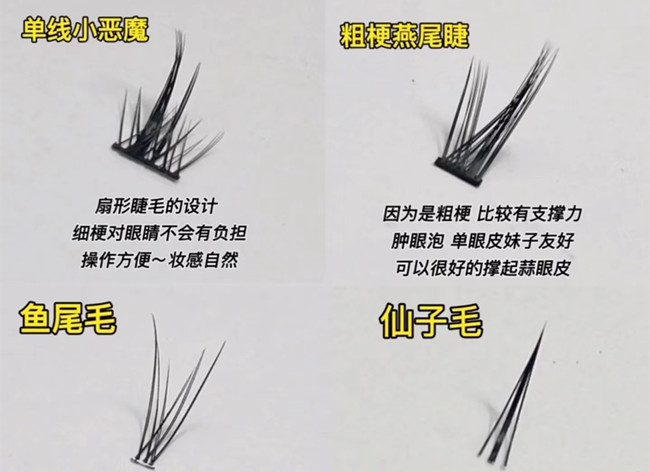 假睫毛科普知識(shí)，廣西化妝基礎(chǔ)