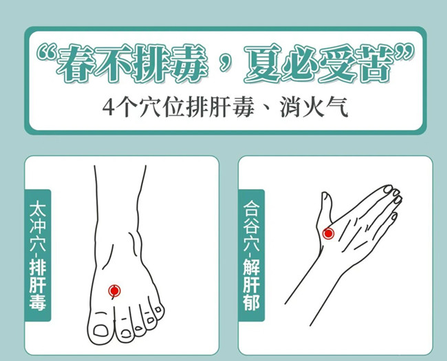 南寧美容健康管理：春季如何養(yǎng)生？