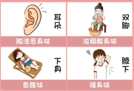 體味重的部位和緩解方法，廣西美容美體專業(yè)介紹