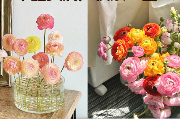 小眾但花語(yǔ)很美的花卉，南寧鮮花知識(shí)培訓(xùn)