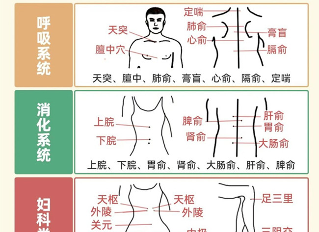 不同部位三伏貼艾灸作用，廣西美體中醫(yī)培訓(xùn)