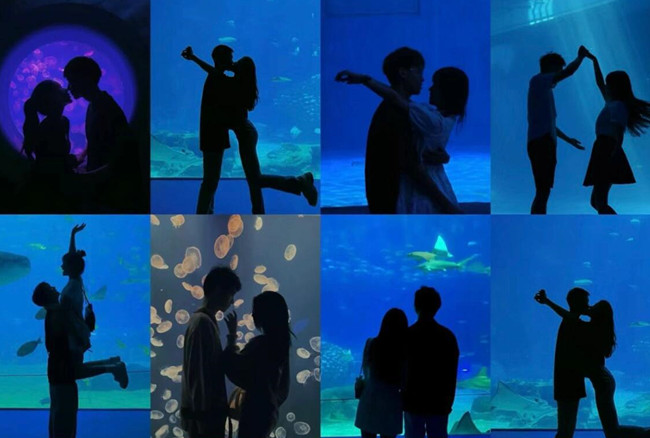在海洋館怎么拍照？廣西人物形象設(shè)計專業(yè)支招